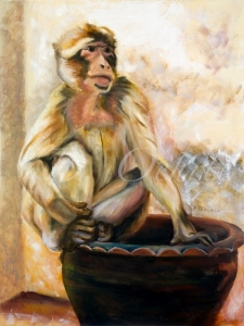 Monkey of Gibraltar-18x24-oil on canvas-2007