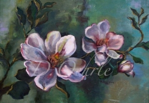 magnoliagrandifolia