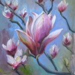 magnoliastellata-150x150