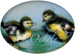 Pekin Ducklings - Oil on Board 8x6 - 2003