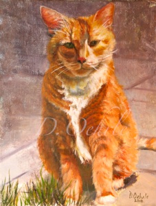 Tabby Cat - Oil on linen 10 x 12 2010 SOLD