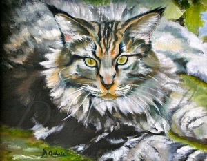 Maine Coon Cat- Oil on Linen - 14 x 11 - 2010